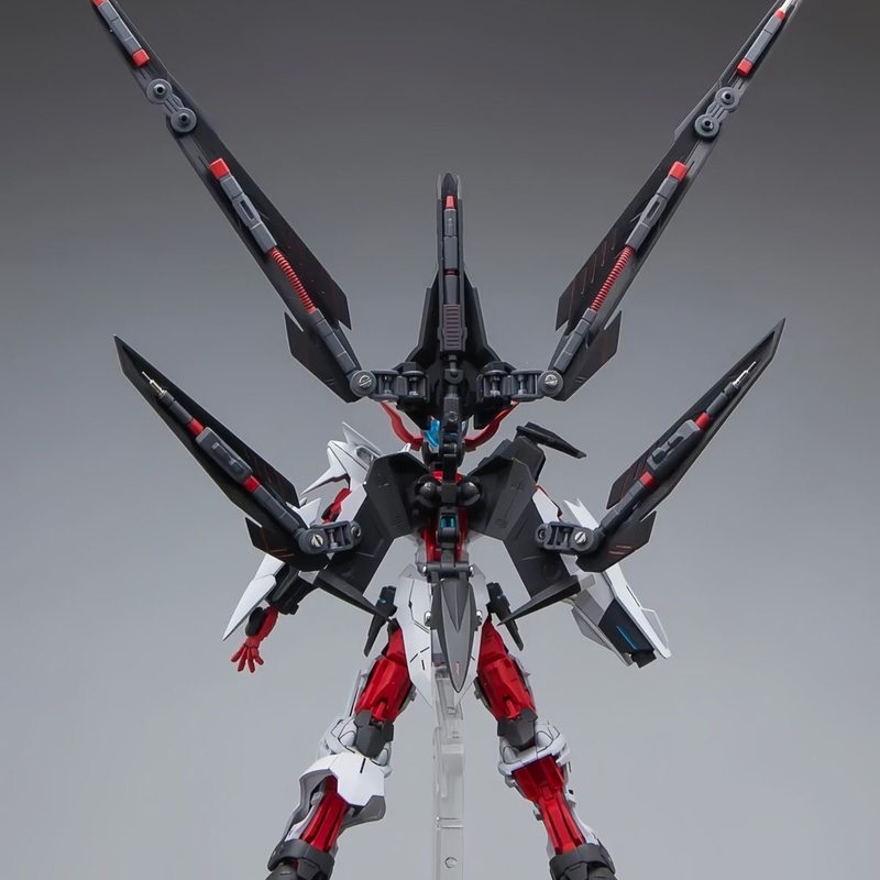HG 1/144 Astray No-Name Astray - Bandai Gundam Rg incelemesi ve fiyatı
